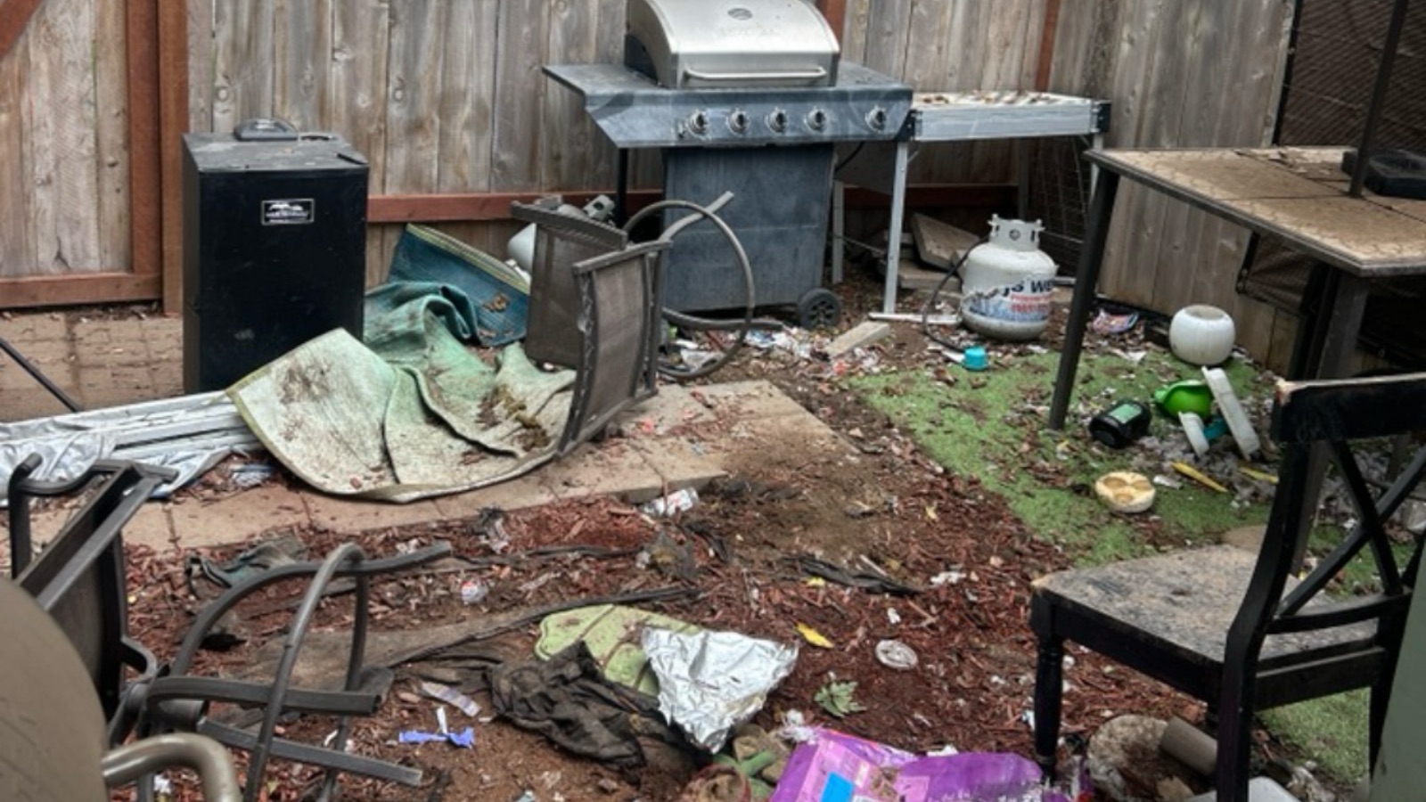 Backyard Clean Up In Newman, California