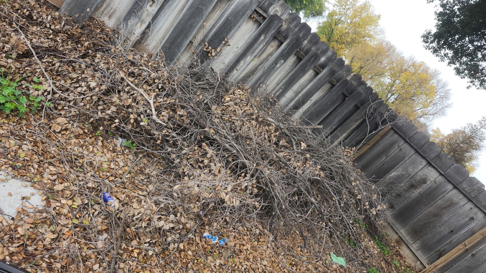Backyard Clean Up In Newman, California