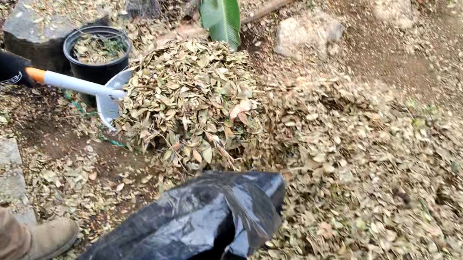 Debris Removal In Newman, California