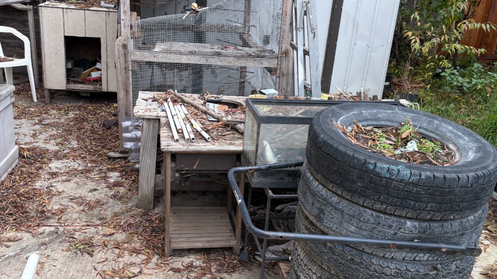 Fall cleanup in Newman, California