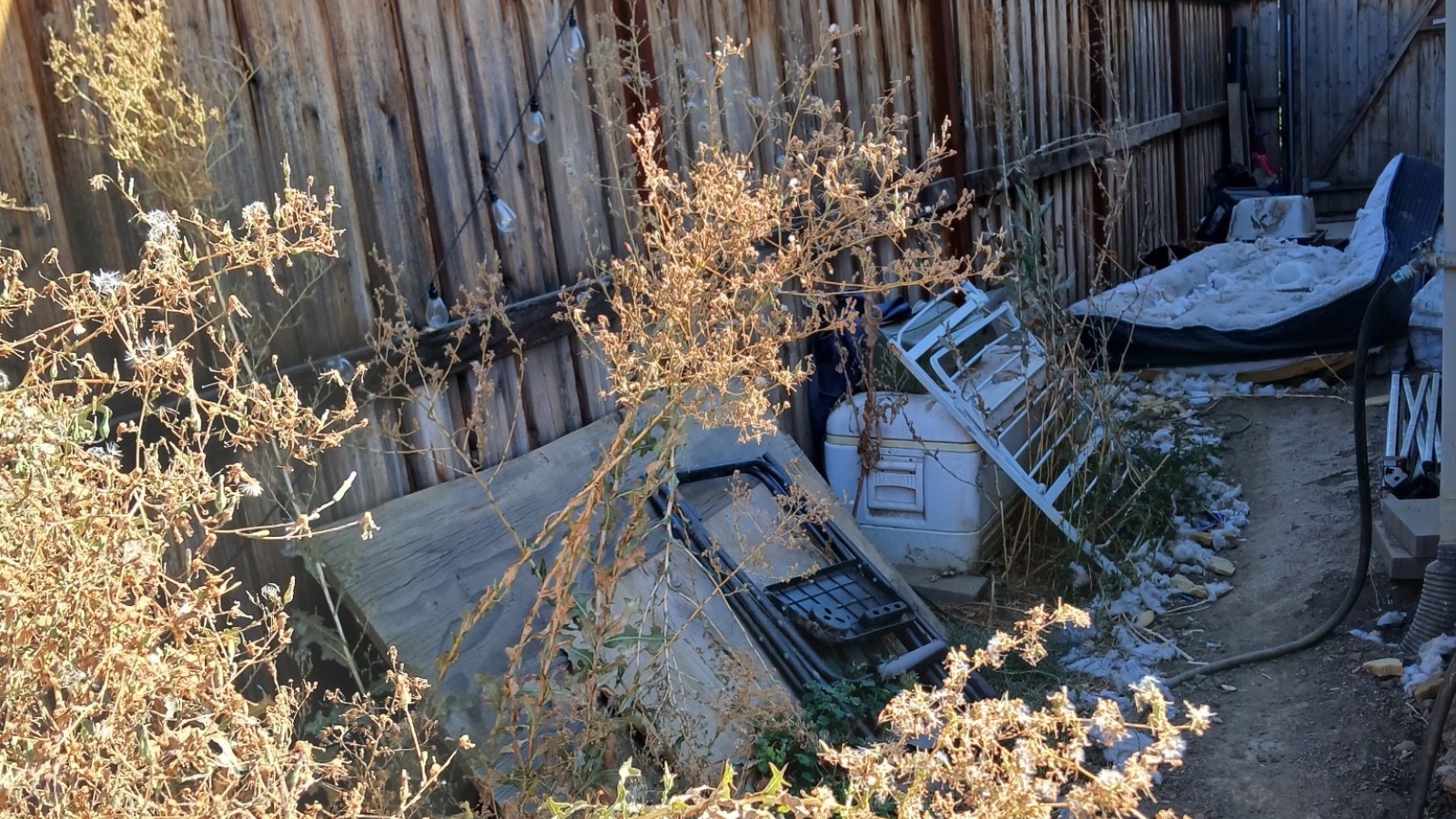 Fall cleanup in Newman, California