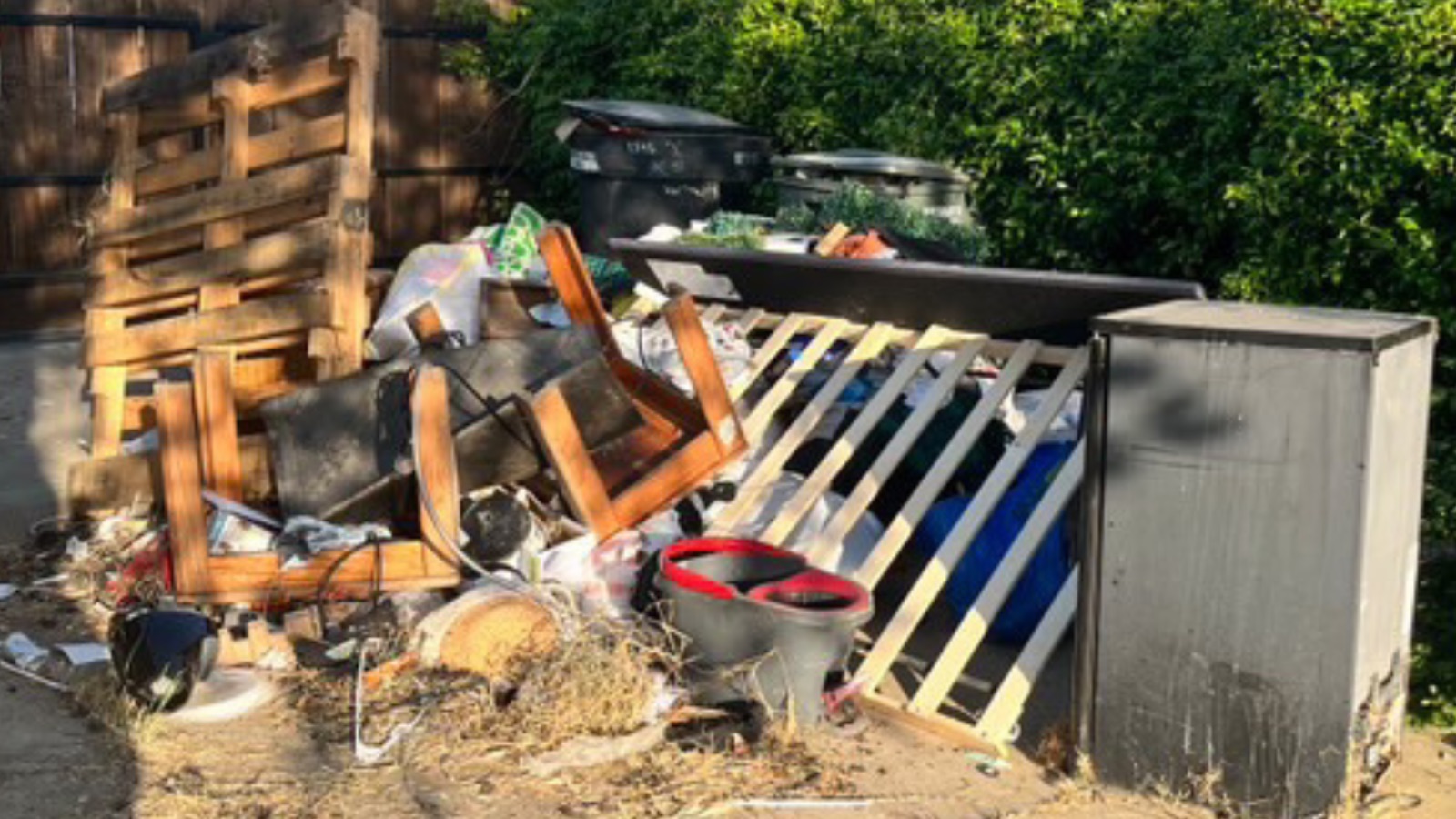 Garbage Collection in Newman, California .jpeg