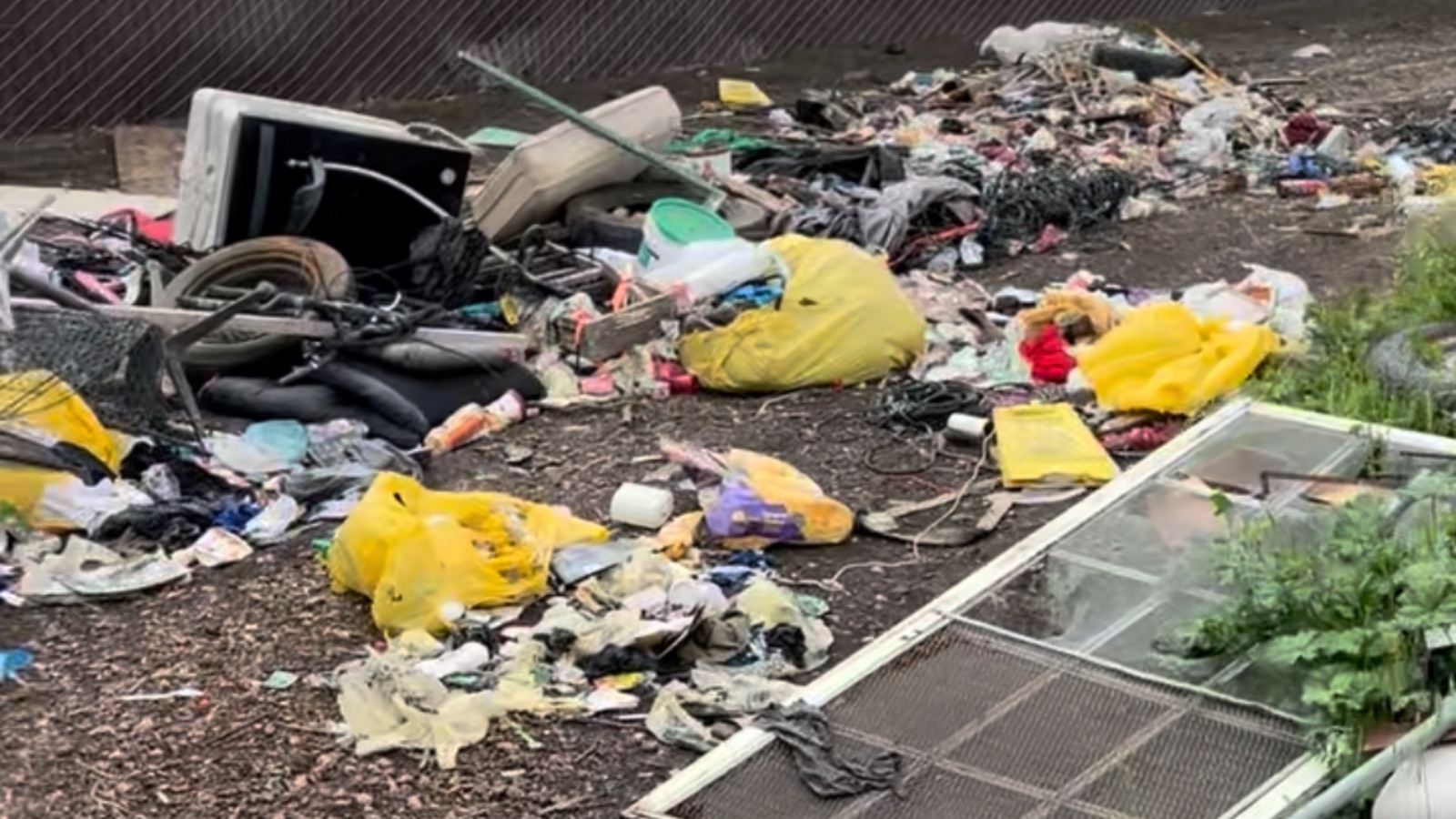 Illegal dumping cleanup in Newman, California