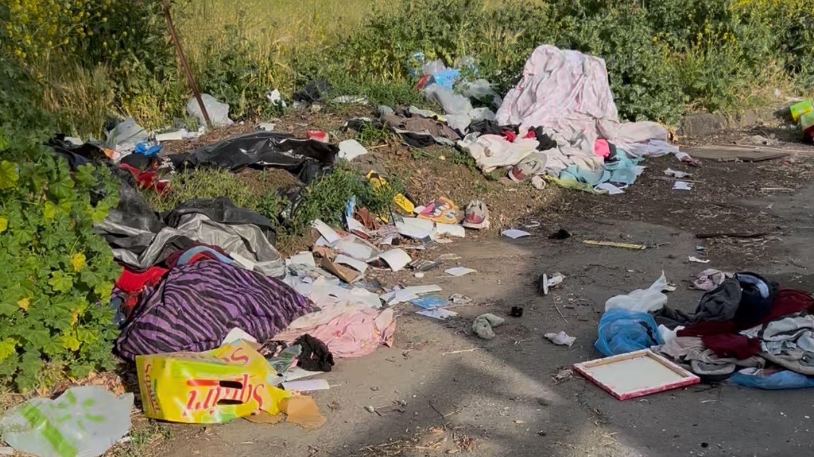Illegal dumping cleanup in Newman, California