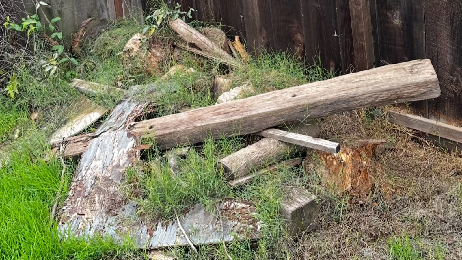 Storm Debris Removal In Newman, California