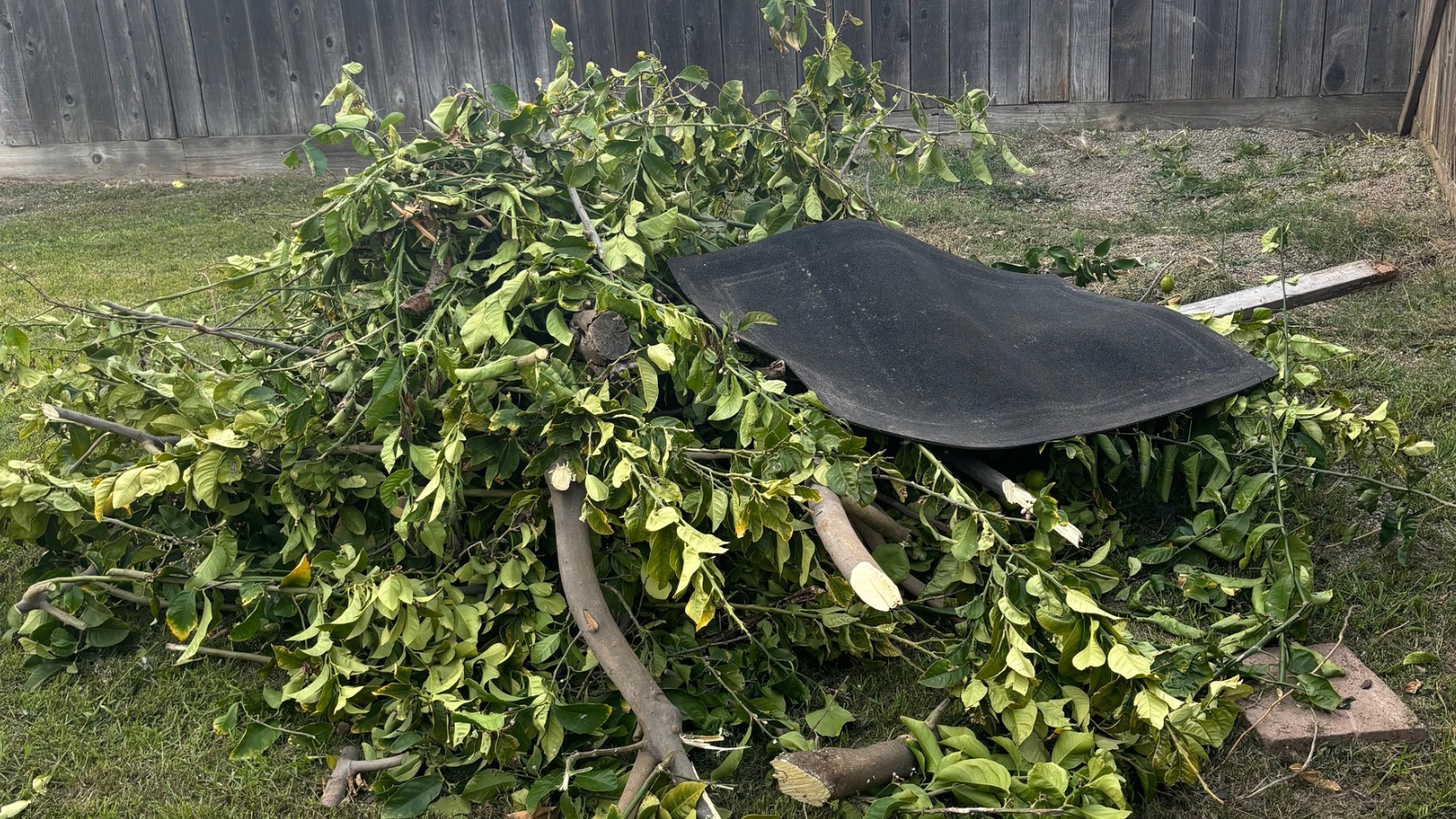 Debris Removal In Newman, California