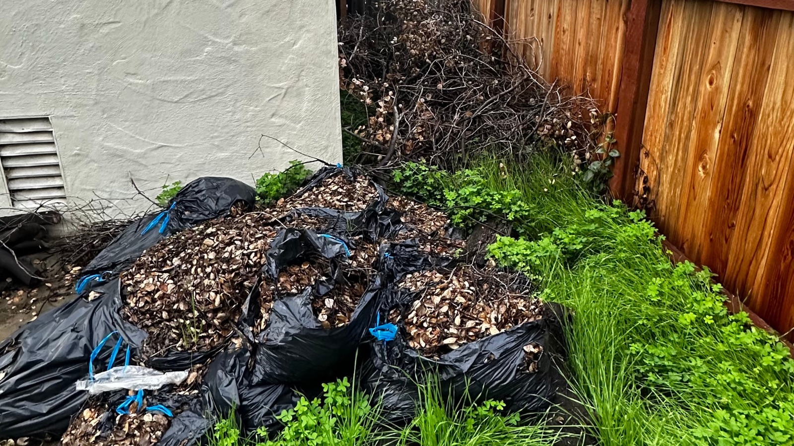 Yard Waste Removal In Newman, California
