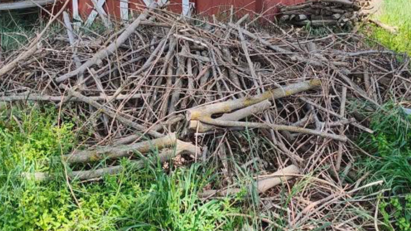 Yard Waste Removal In Newman, California