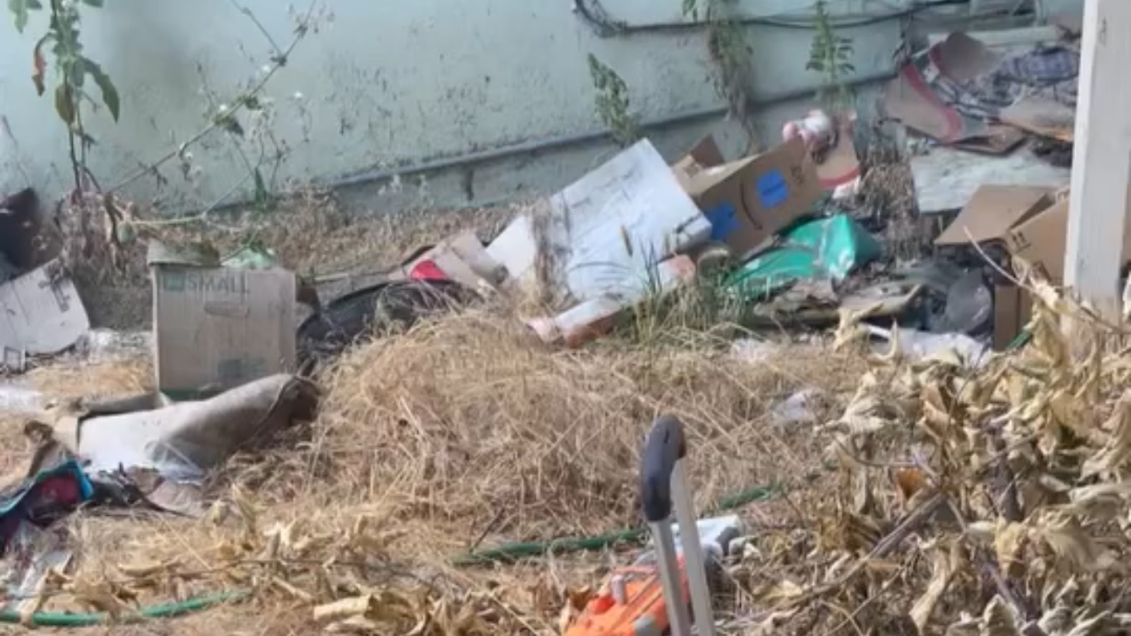 Storm Debris Removal In Newman, California