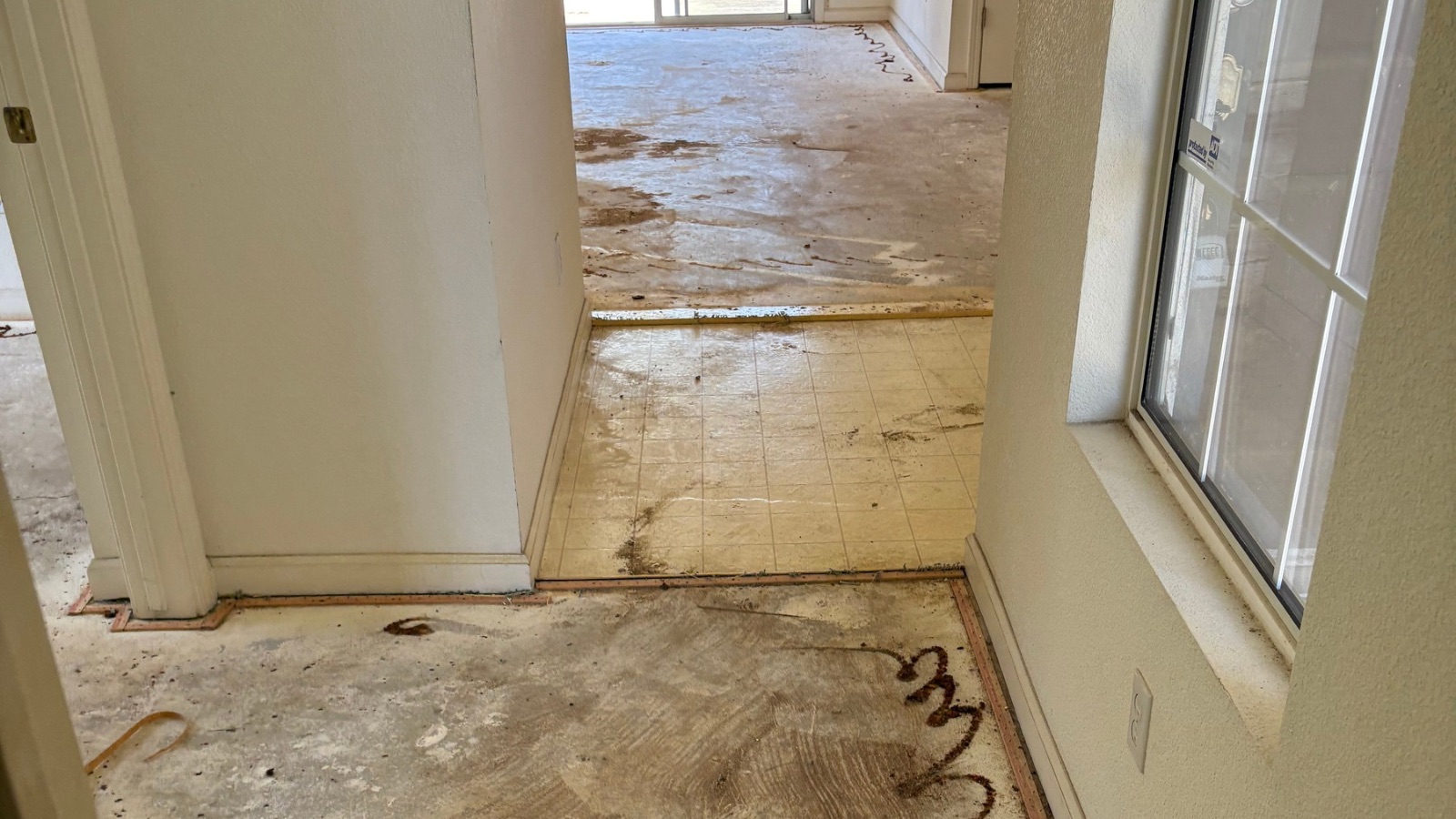 Carpet removal in Newman, California