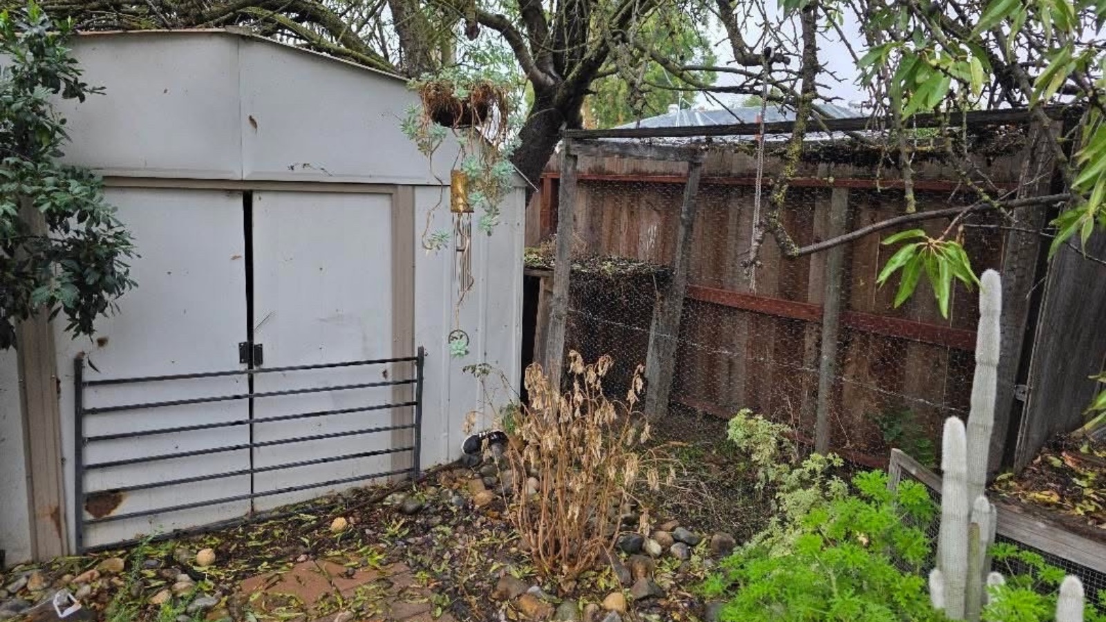 Shed removal in Newman, California