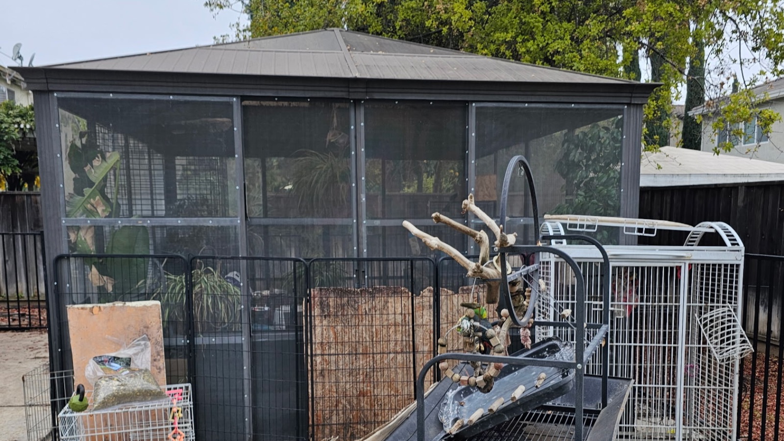 Shed removal in Newman, California
