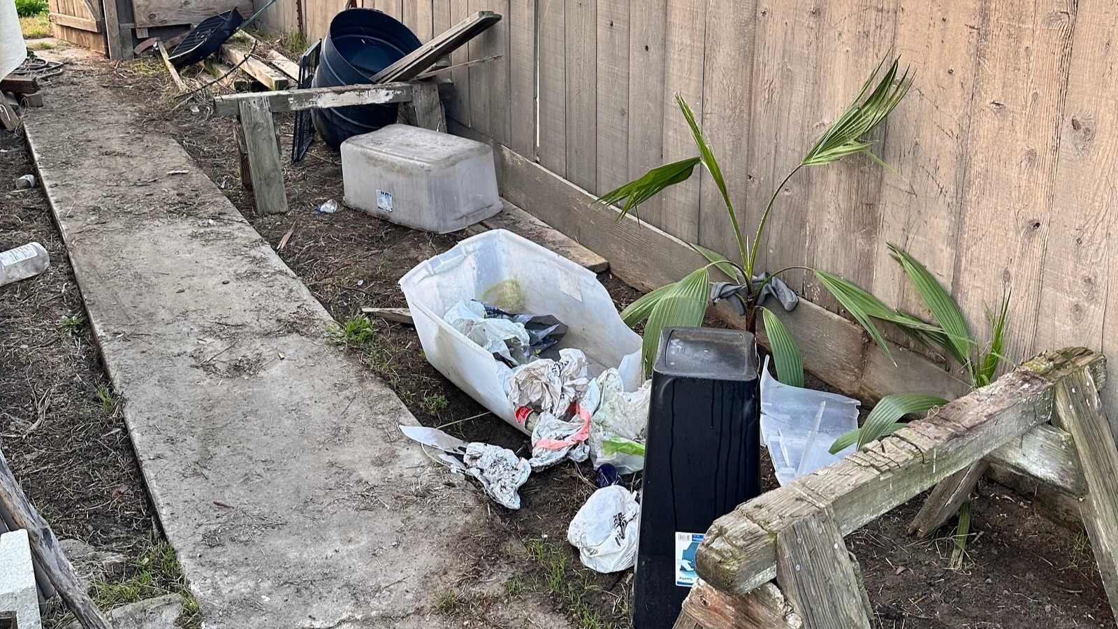 Backyard clean ups in Patterson California