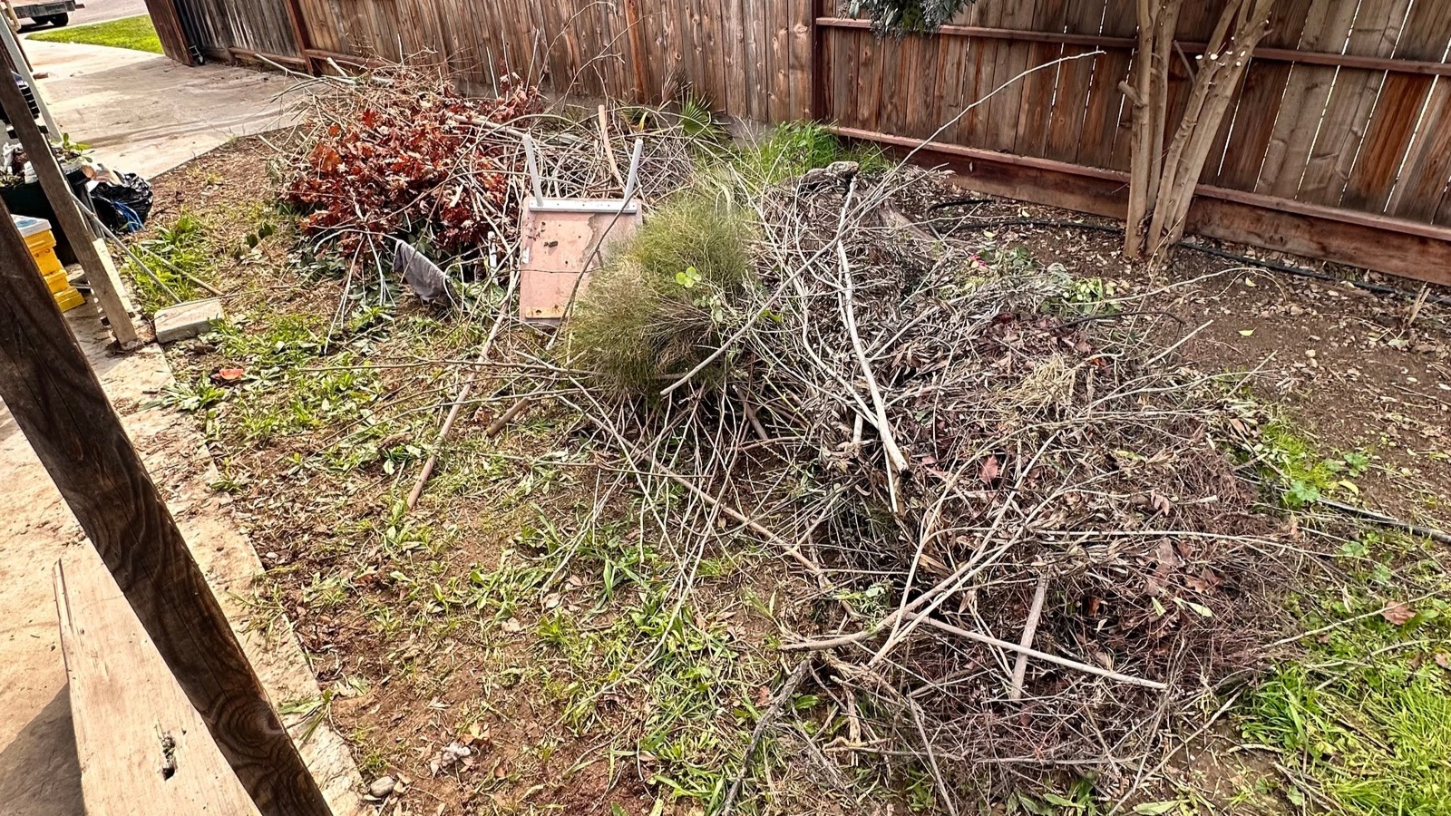 Backyard clean ups in Patterson California