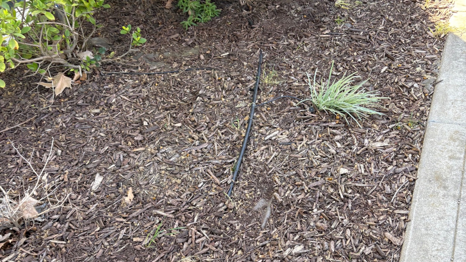 Debris removal in Patterson, California