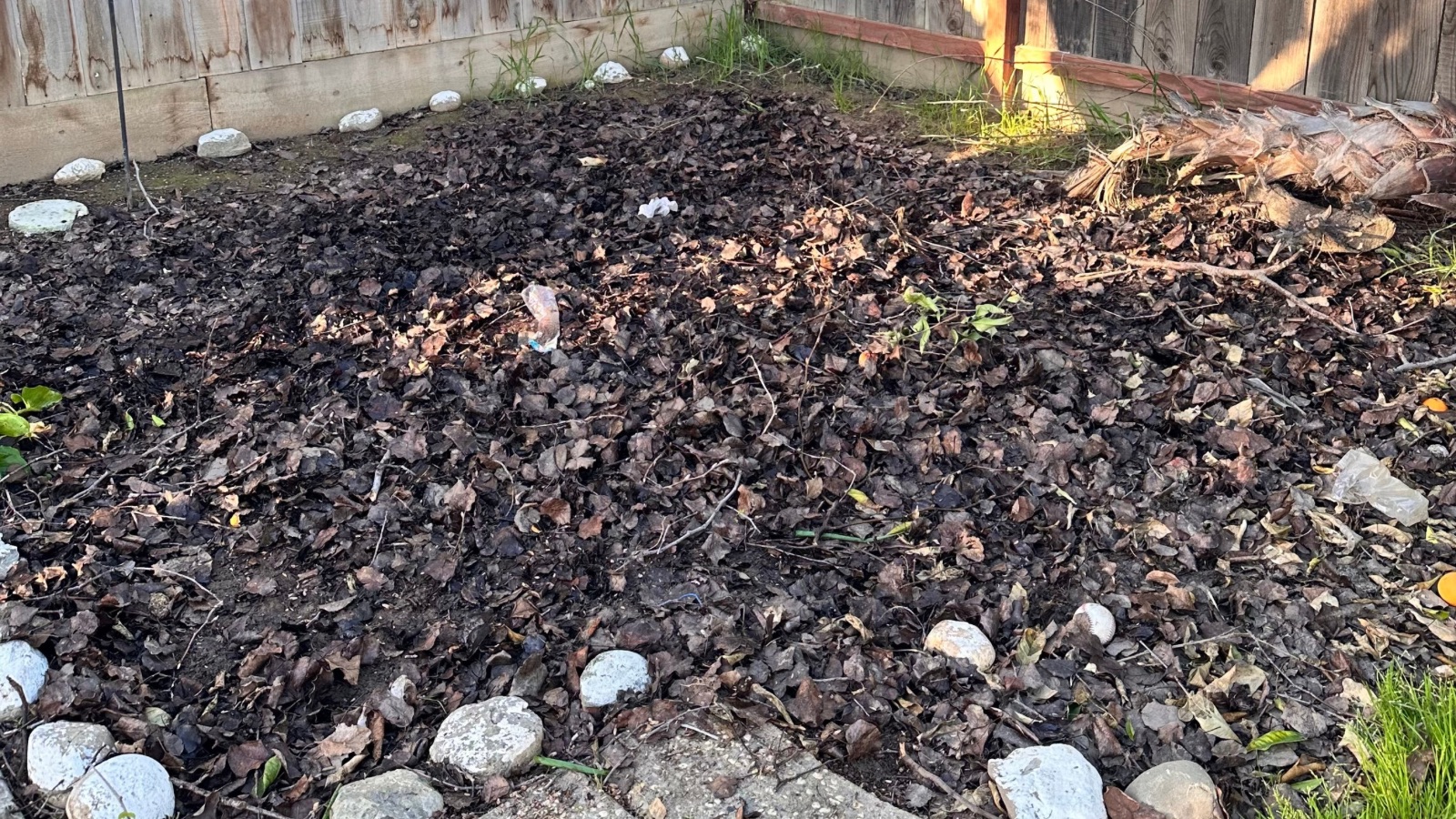 Debris removal in Patterson, California (2)