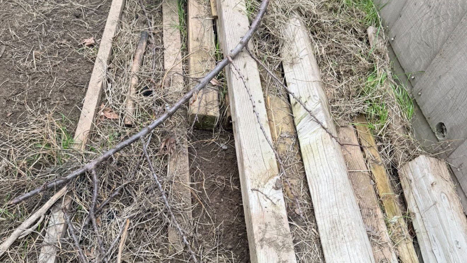 Debris removal in Patterson, California
