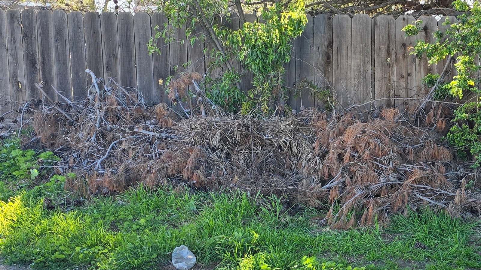 Debris removal in Patterson, California