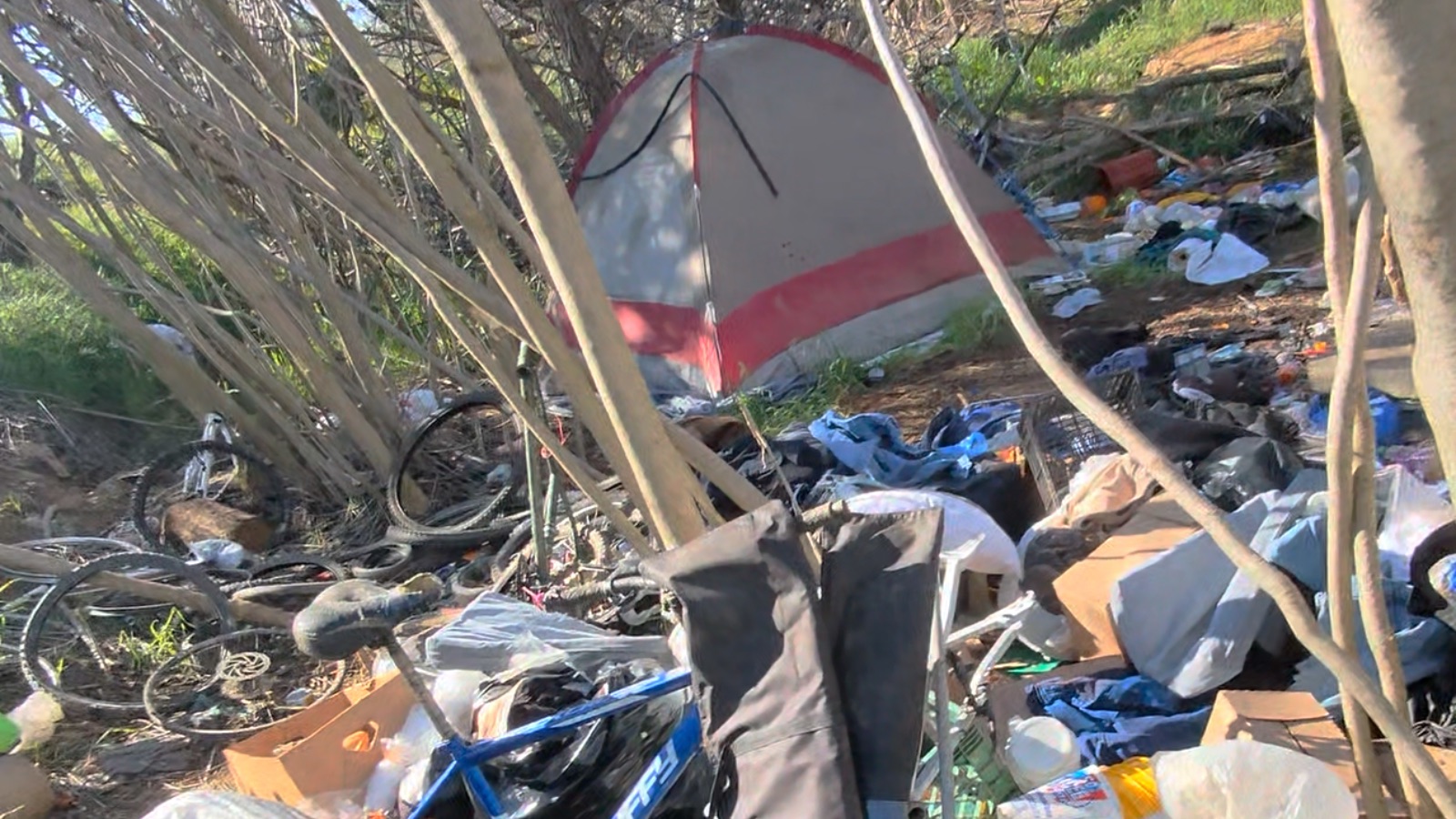Waste Management In Newman, California