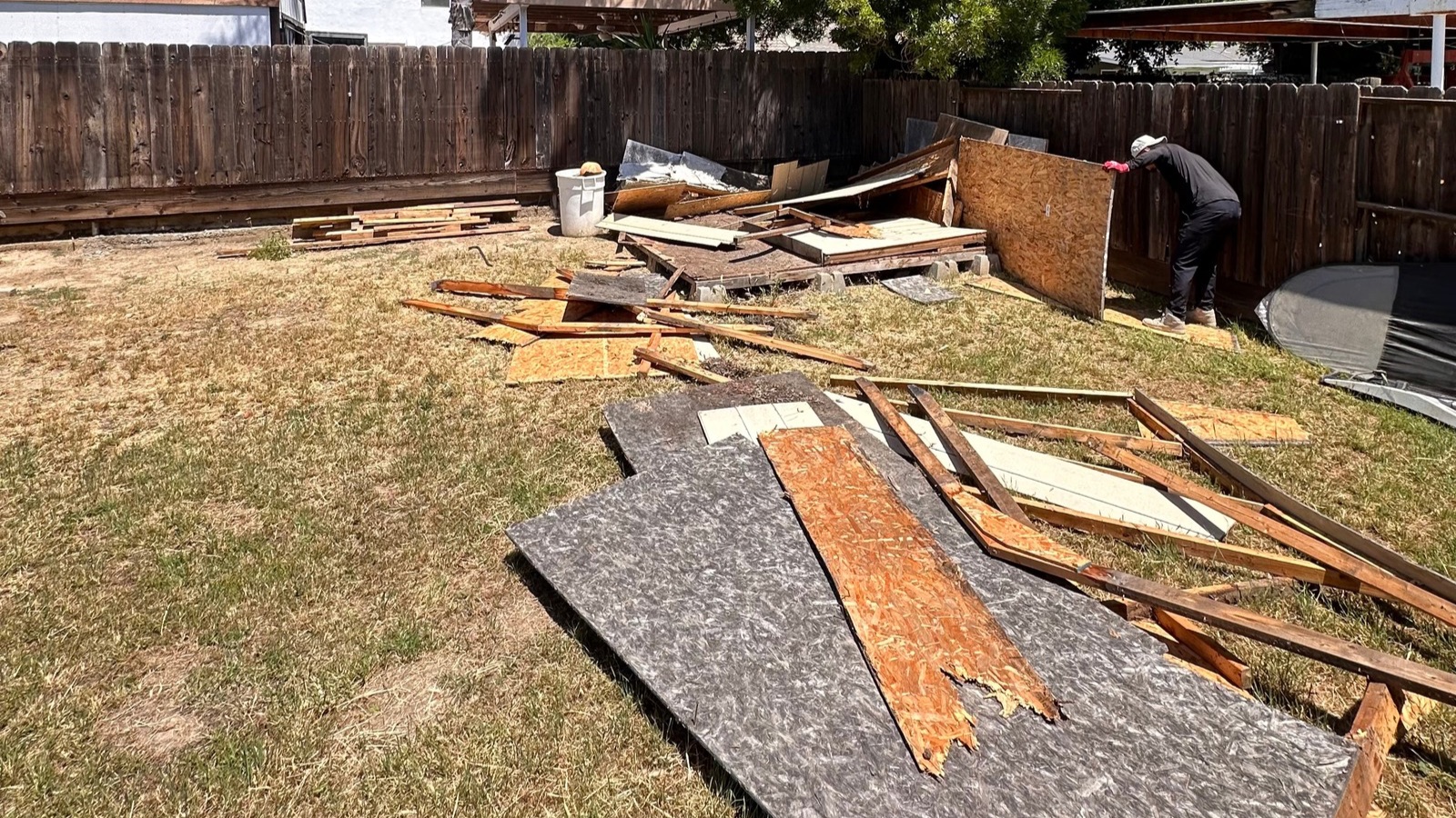 She Removal In Patterson, California