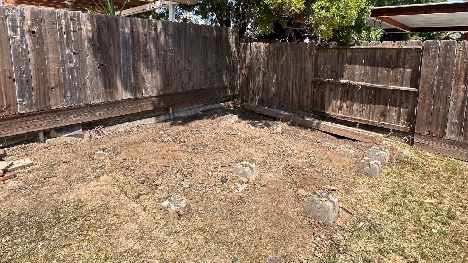 She Removal In Patterson, California