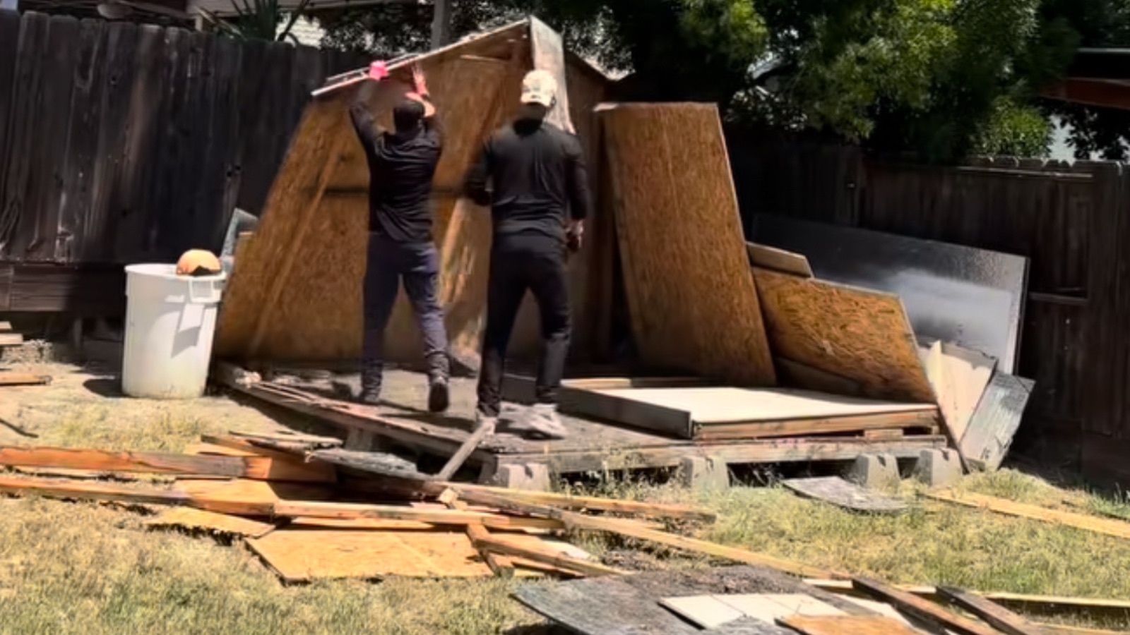 She Removal In Patterson, California